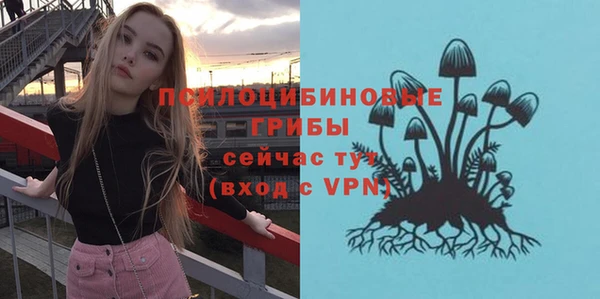 а пвп мука Новозыбков