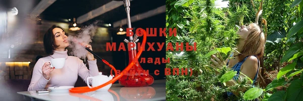 мдпв Новокубанск