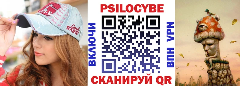 как найти Выборг Псилоцибиновые грибы прущие грибы