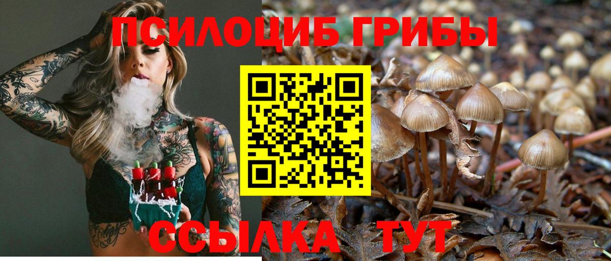 Галлюциногенные грибы мухоморы Выборг