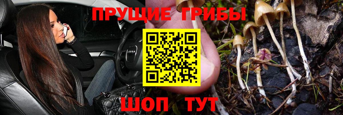 Галлюциногенные грибы ЛСД  Выборг 