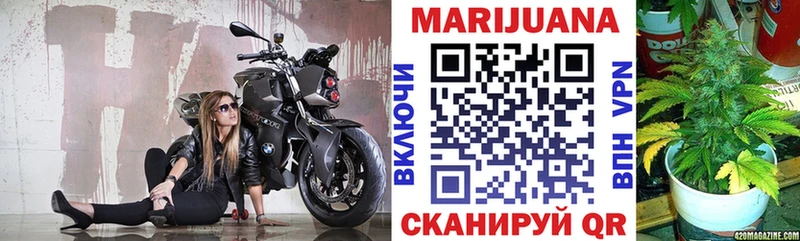 цена наркотик  площадка телеграм  Шишки марихуана индика  Выборг  ссылка на мегу ONION 