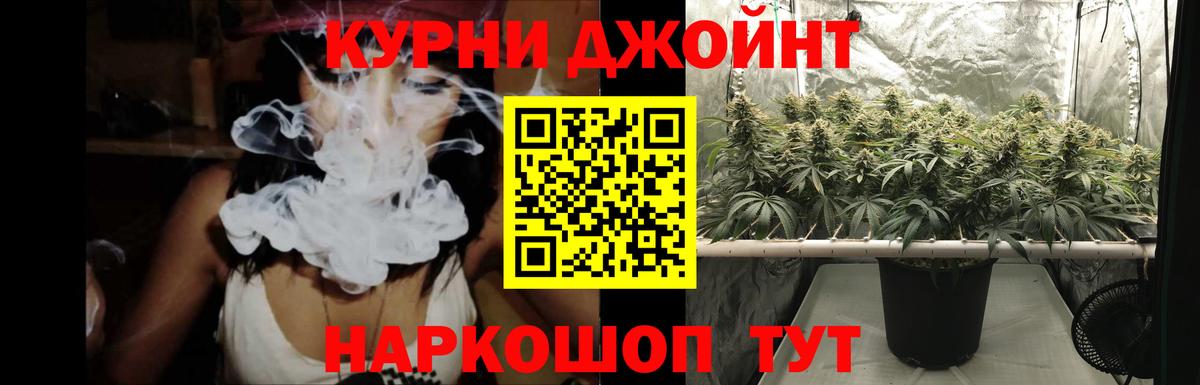 Шишки марихуана индика  Бошки Шишки Ganja  Выборг  МАРИХУАНА семена 